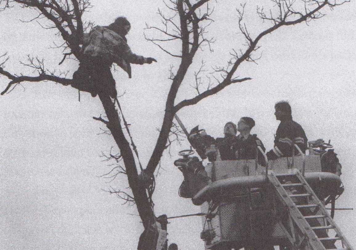  A protester holds on high in a tree, to the right are people, perhaps police, in a crane.