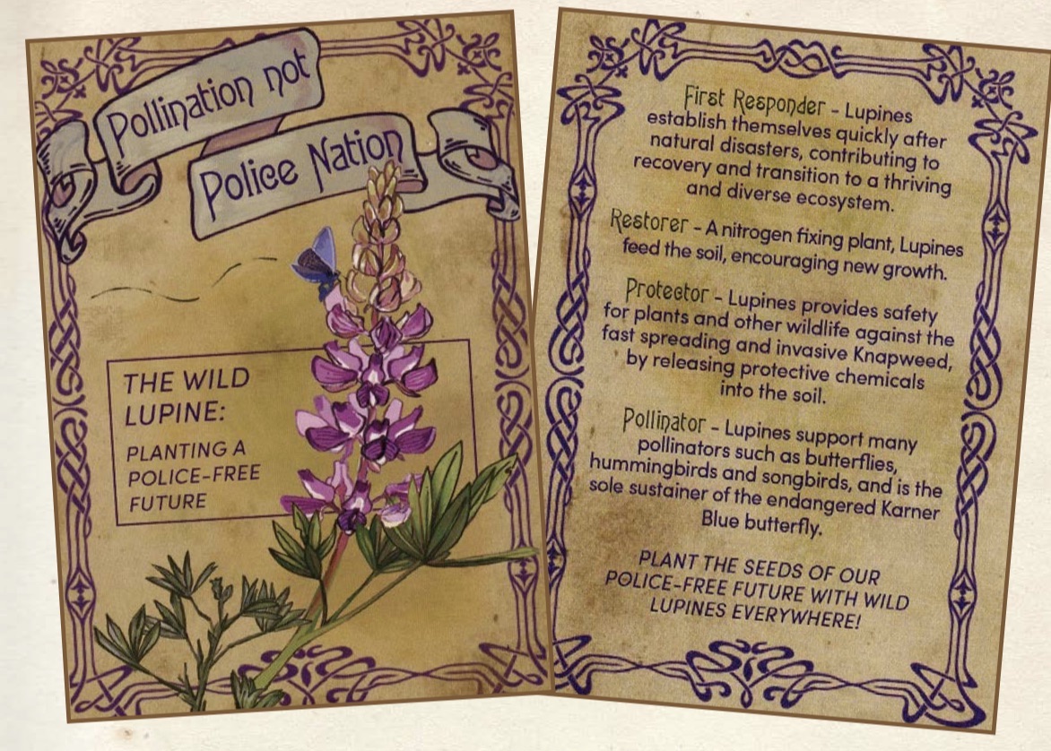 The front and back cover of the lupine seed packets. Front cover says "pollination, not police nation; the wild lupine: planting a police-free future" plus a picture of a lupine. Back cover has the text bullet points included on this web page
